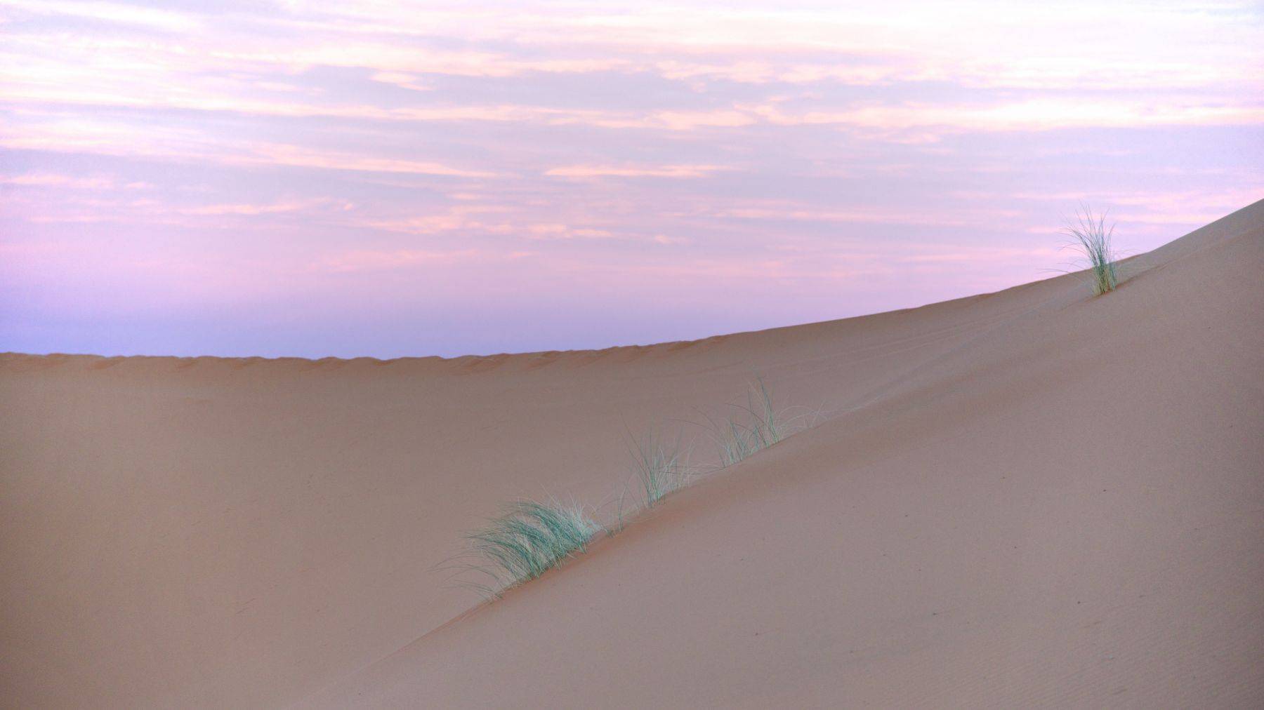 Sahara Desert, Morocco