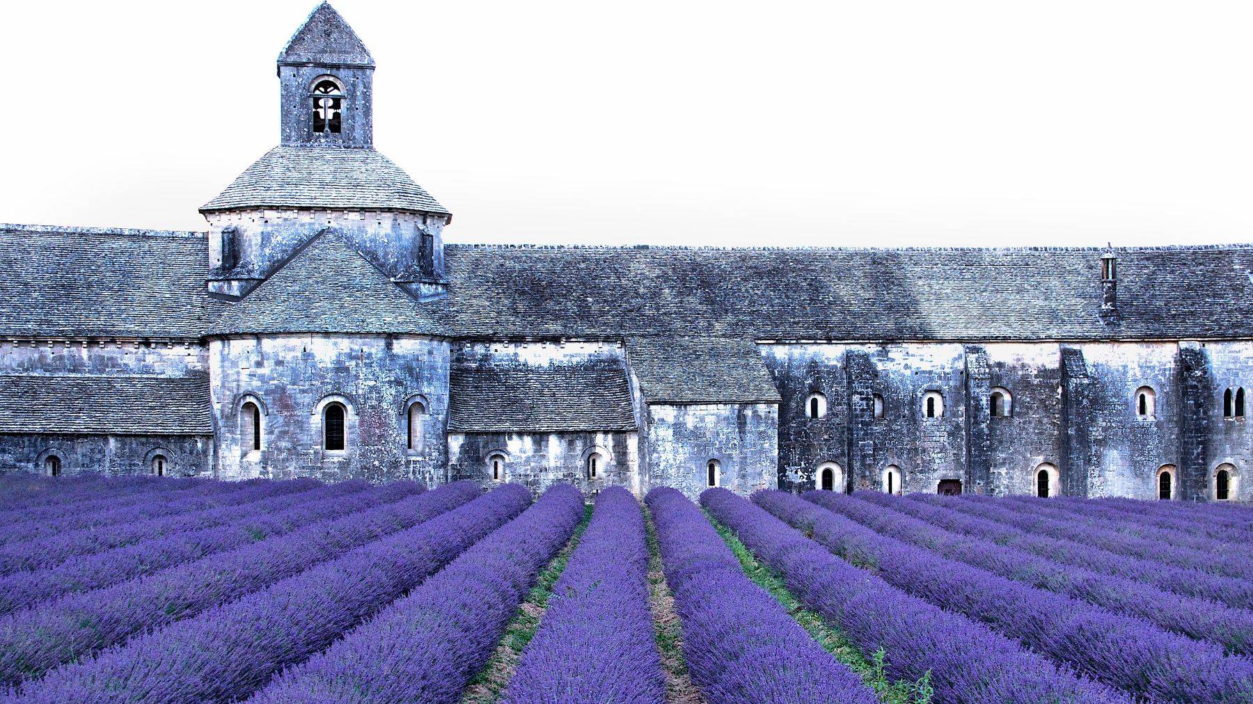 Sénanque Abbey, Provence, France