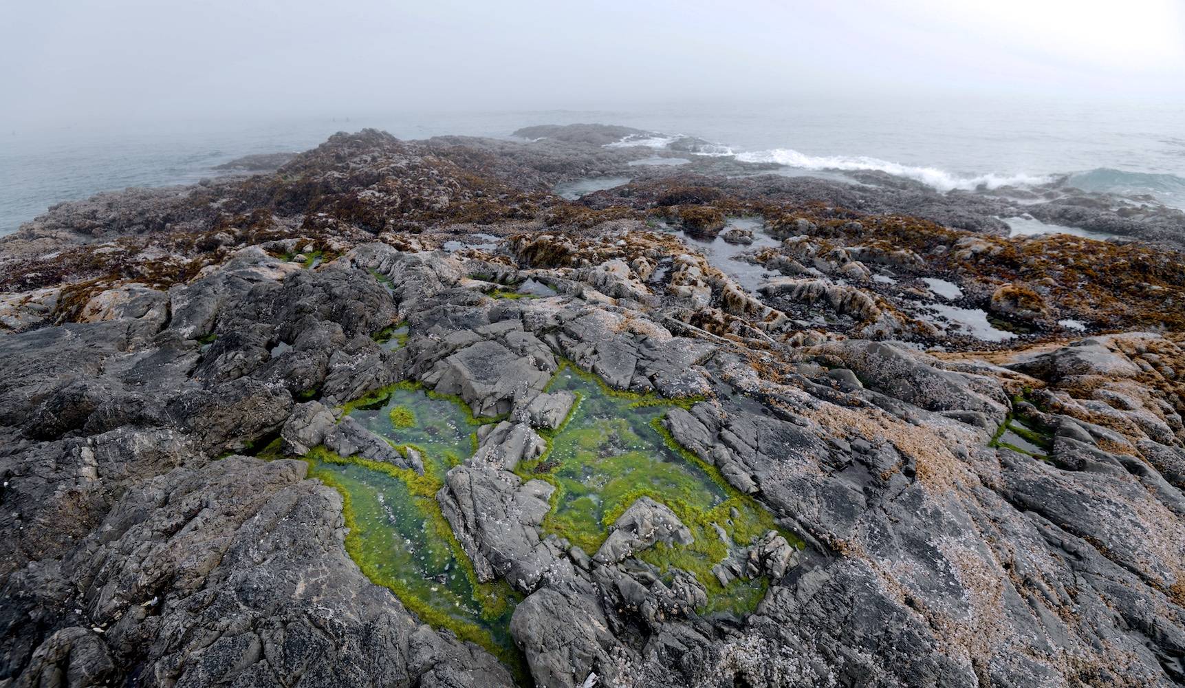Tofino, Vancouver Island
