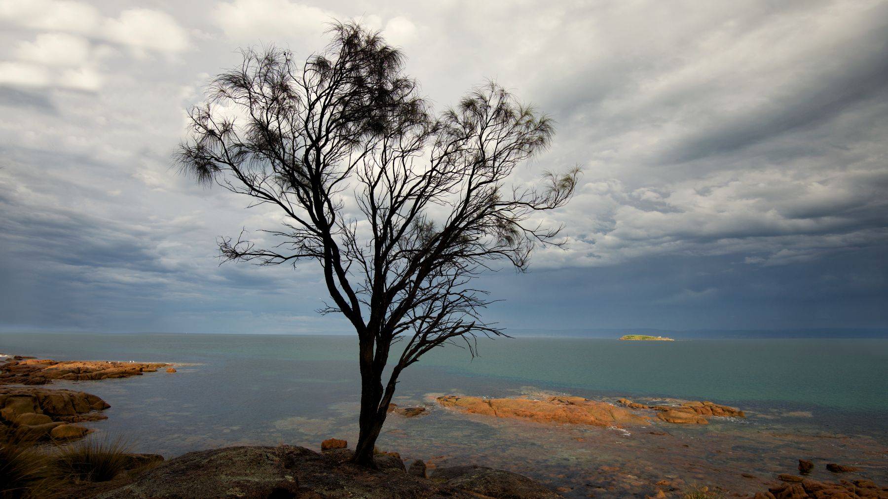 Tasmania Island, Australia
