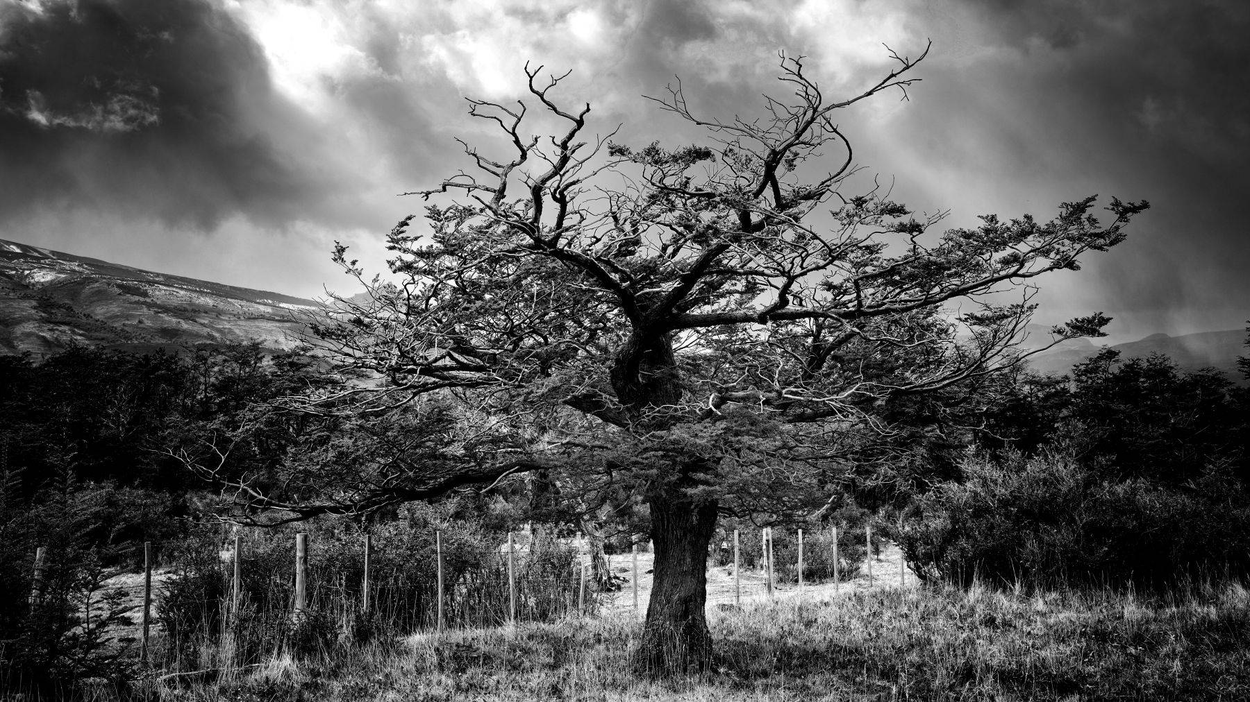 Torres del Paine, Chile