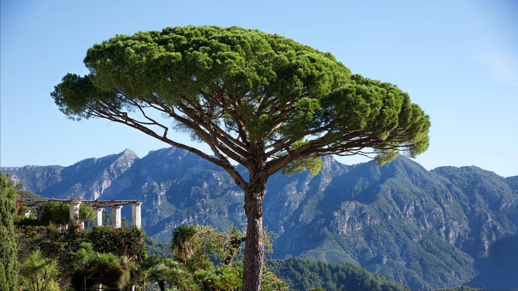 Ravello, Amalfi Coast,  Italy
