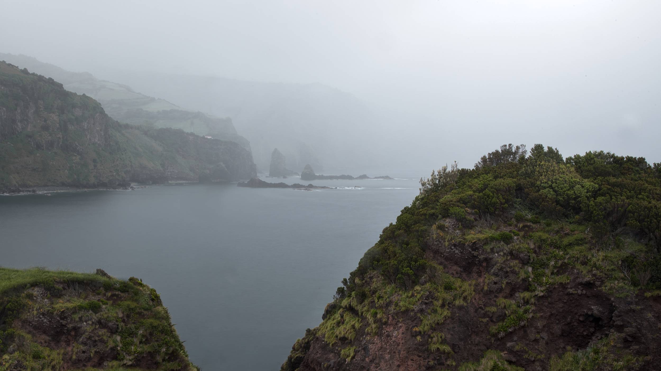 DSC_4245 - Version 4.jpg