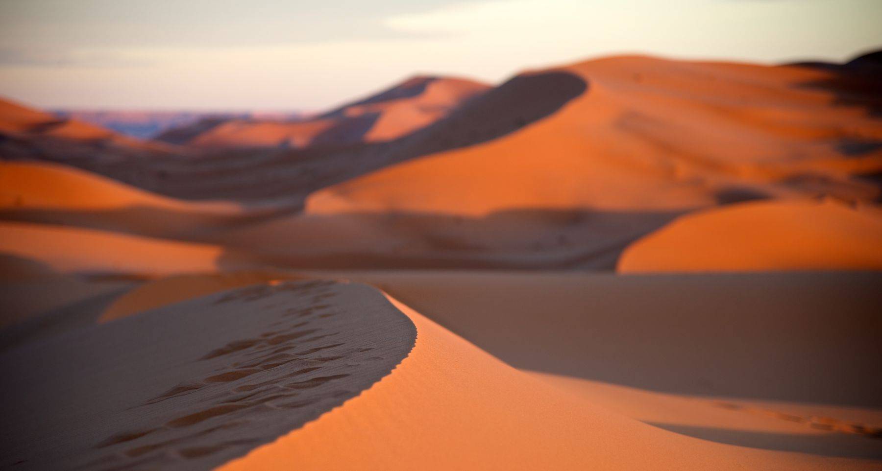 Sahara Desert, Morocco