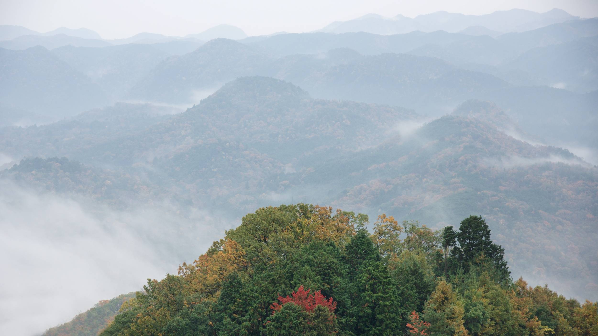 View from Rice Terrace Villa Sasayuri-ann, Nara , Japan