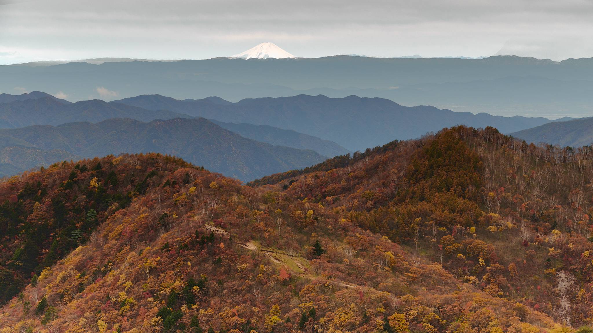 Hangetsuyama Observation Deck