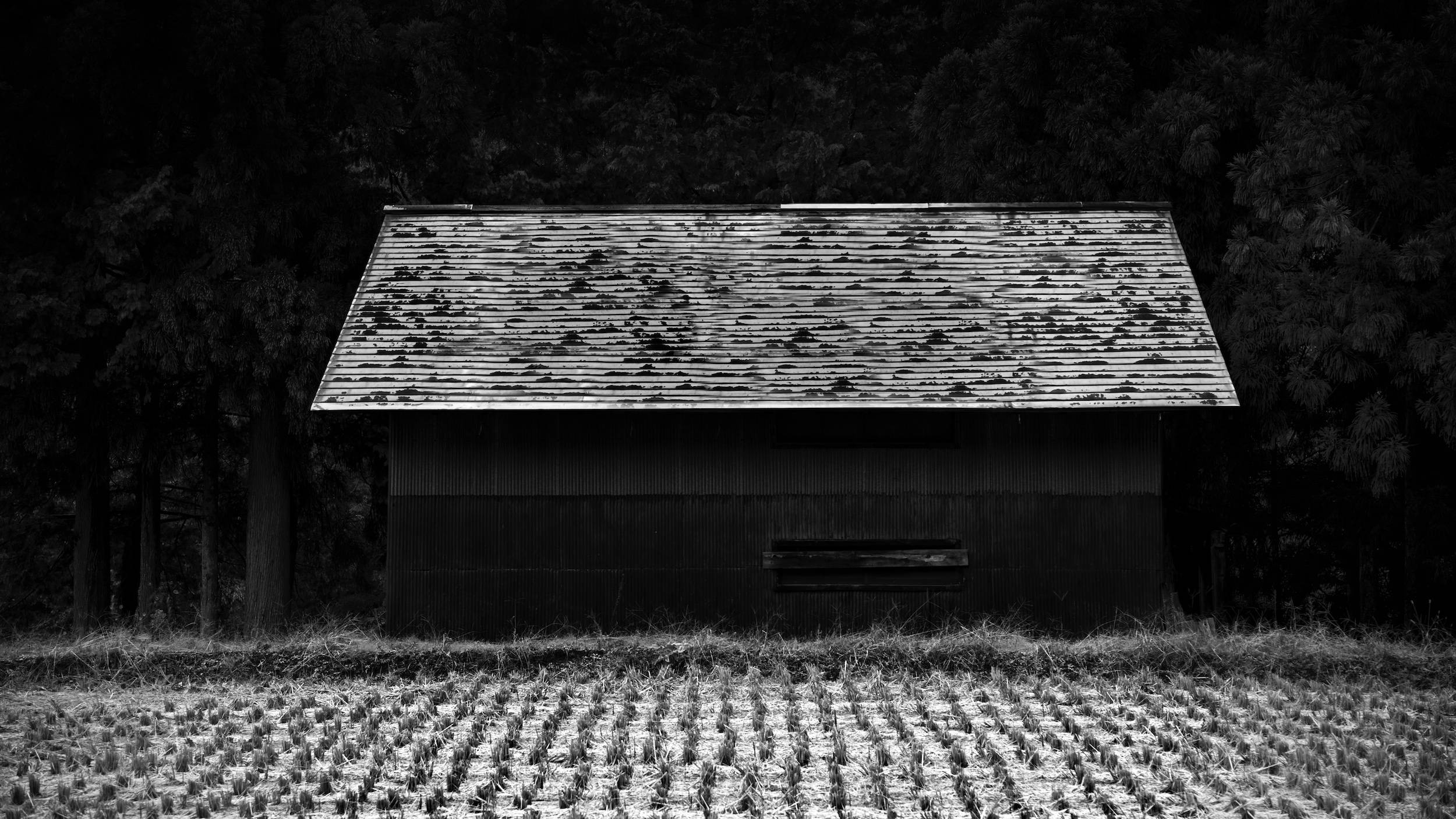Shirakawa-go and Gokayama, Japan