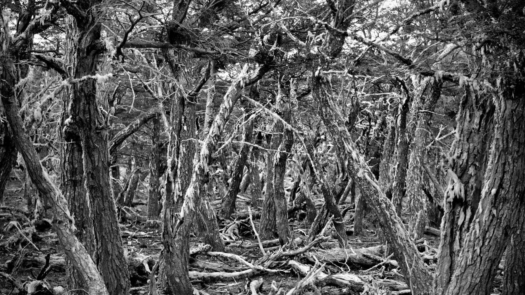 Torres del Paine, Chile
