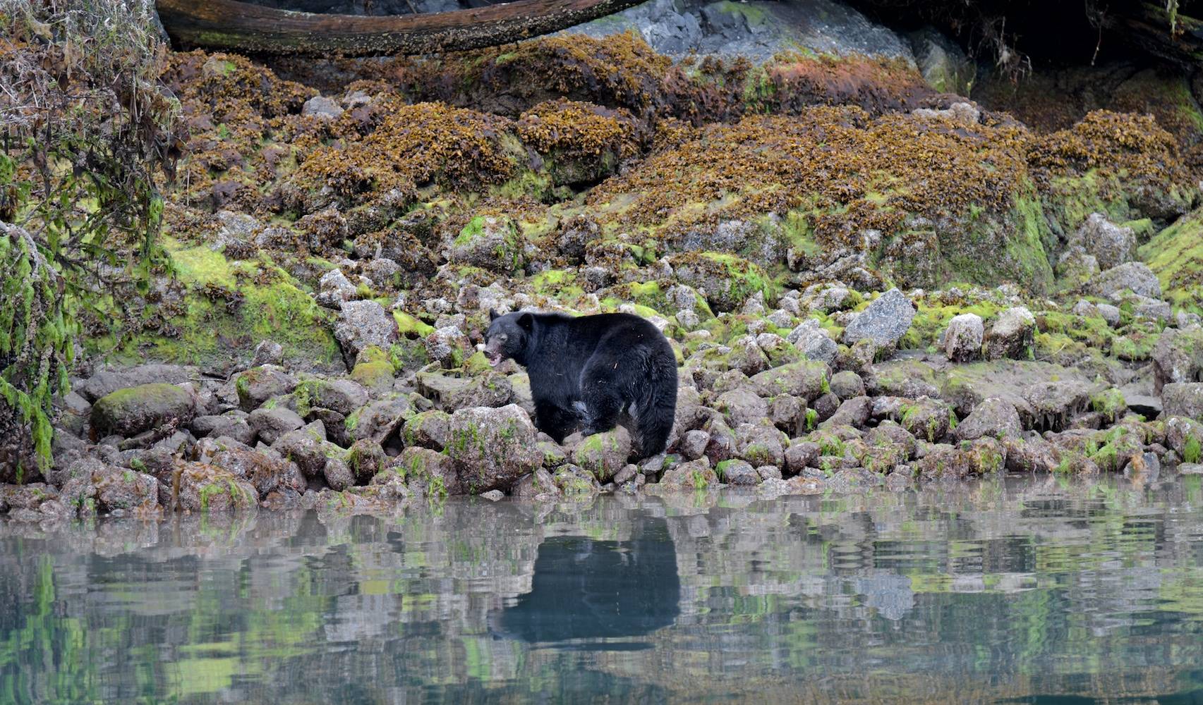 Tofino, Vancouver Island