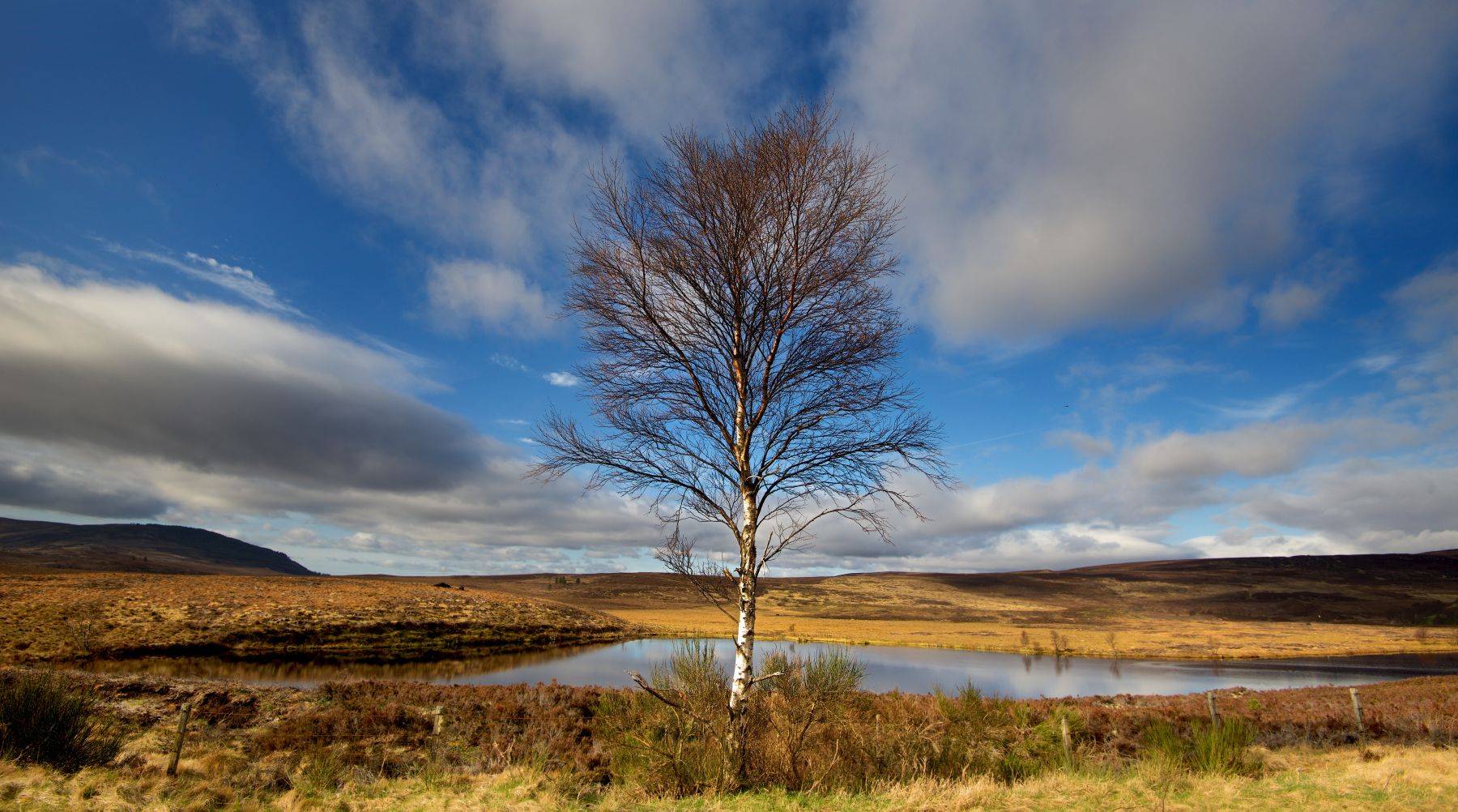 Scottish Highlands, Scotland