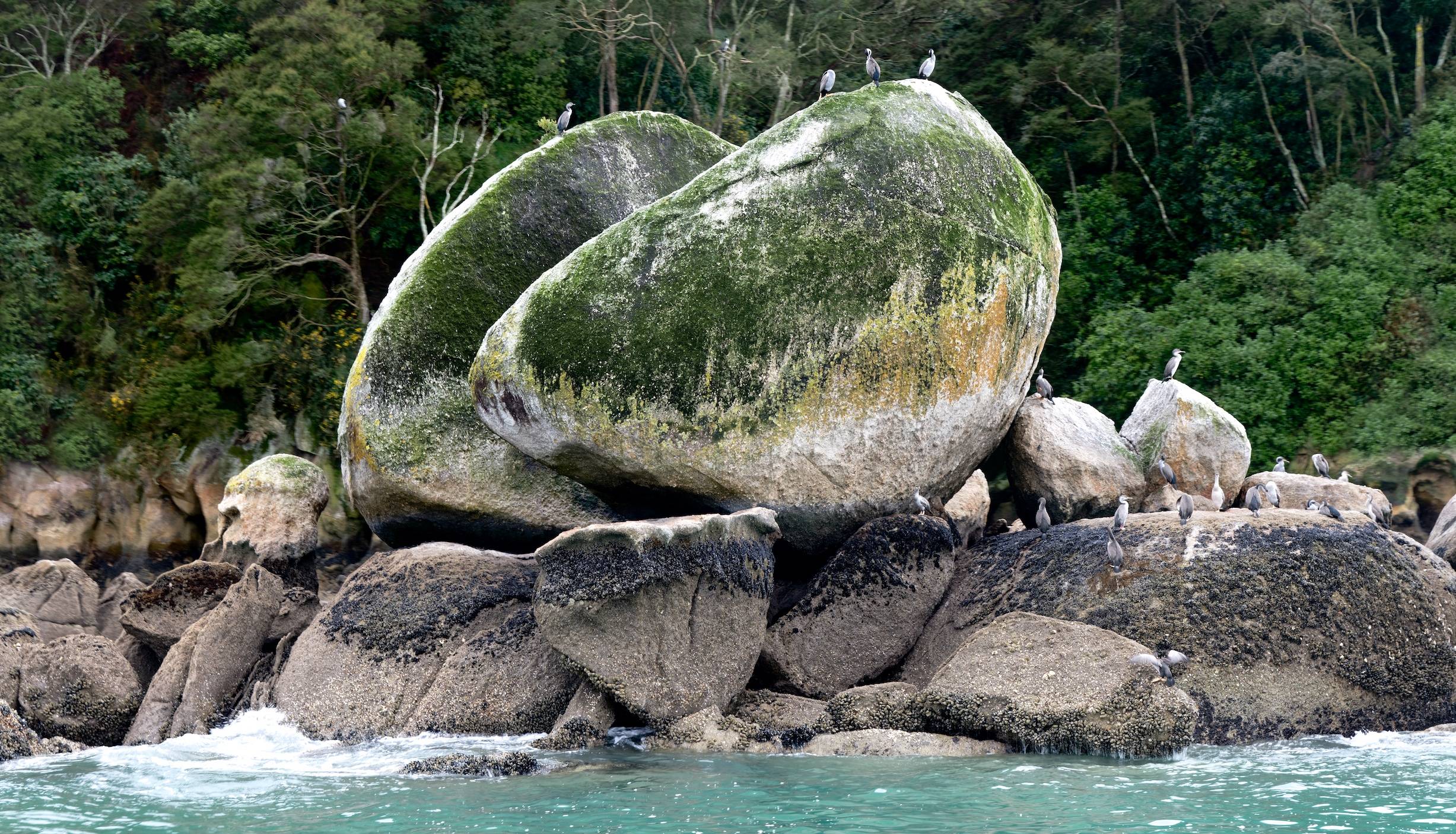 Split Apple, Abel Tasman National Park 