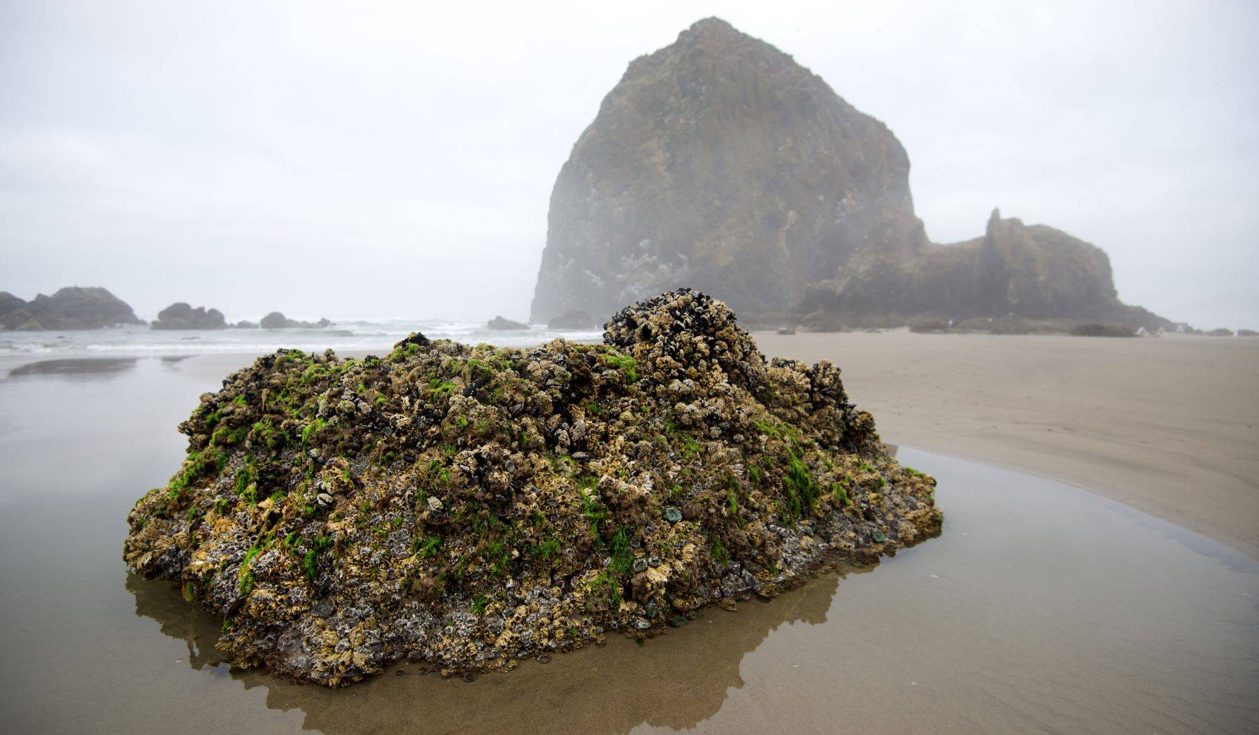 Canon Beach, Oregon