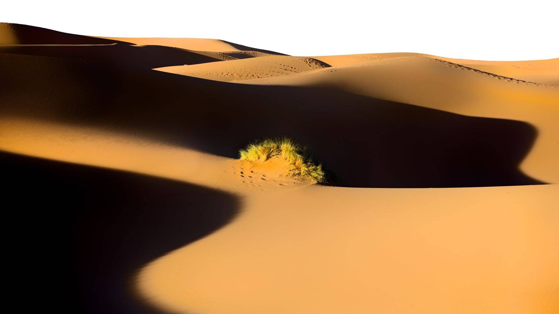 Sahara Desert, Morocco