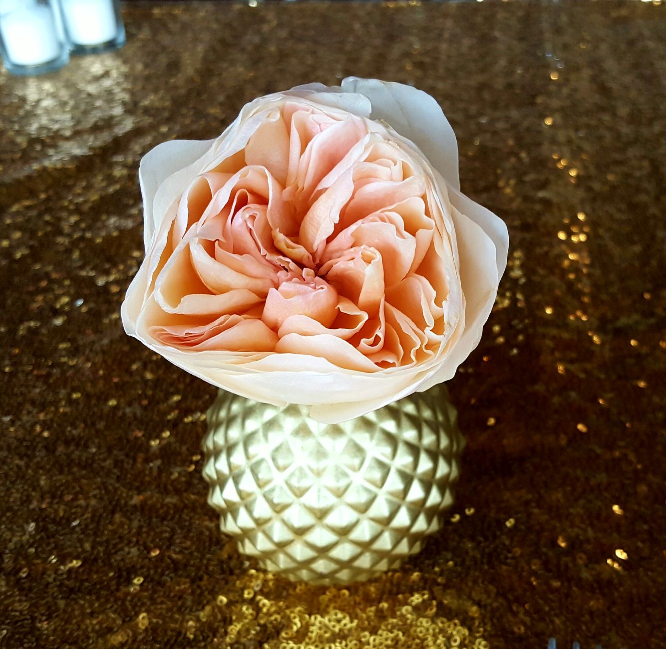 Finishing Touches, Paint Creek