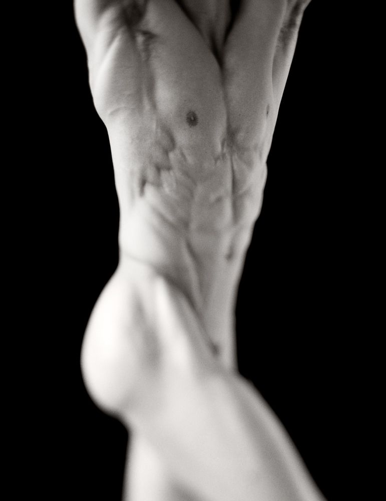 Tortise - Torsi Exhibition