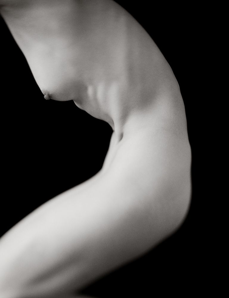 Tendon - Torsi Exhibition