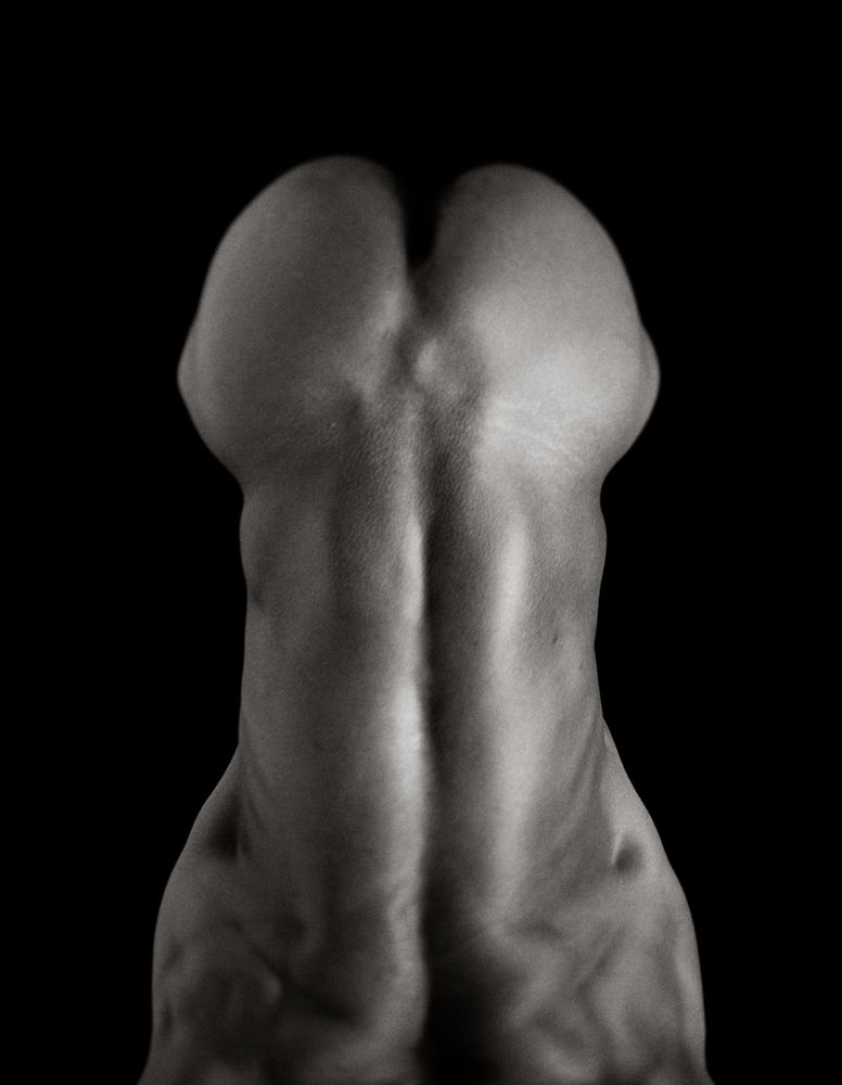 Post - Torsi Exhibition