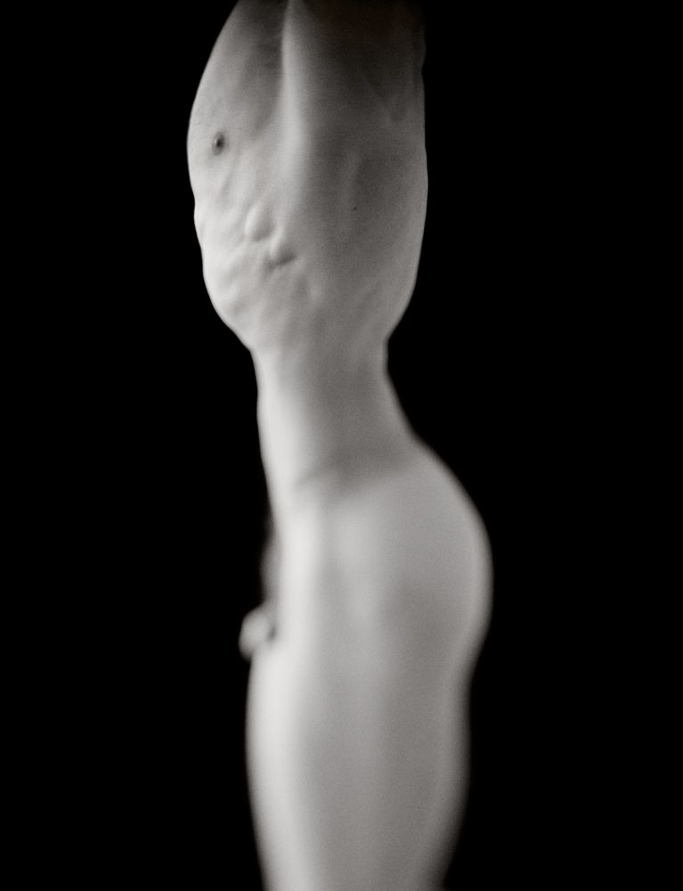 Waist - Torsi Exhibition