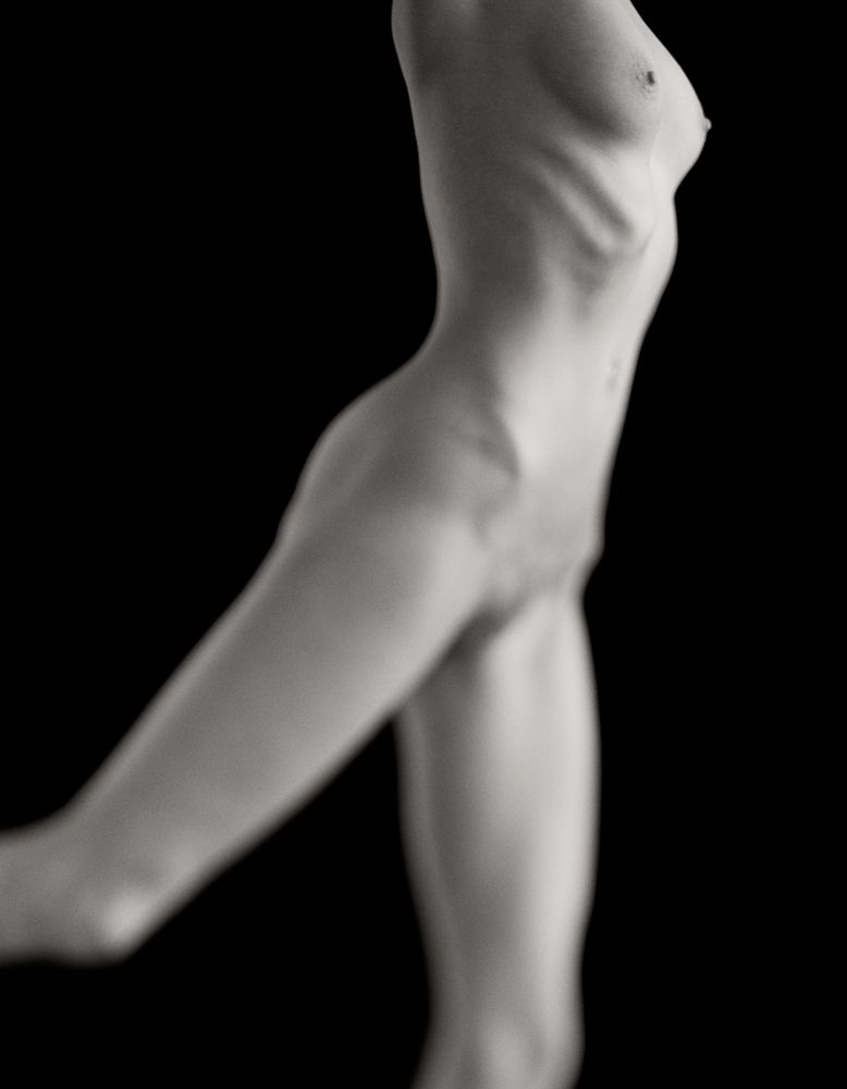 Stork - Torsi Exhibition