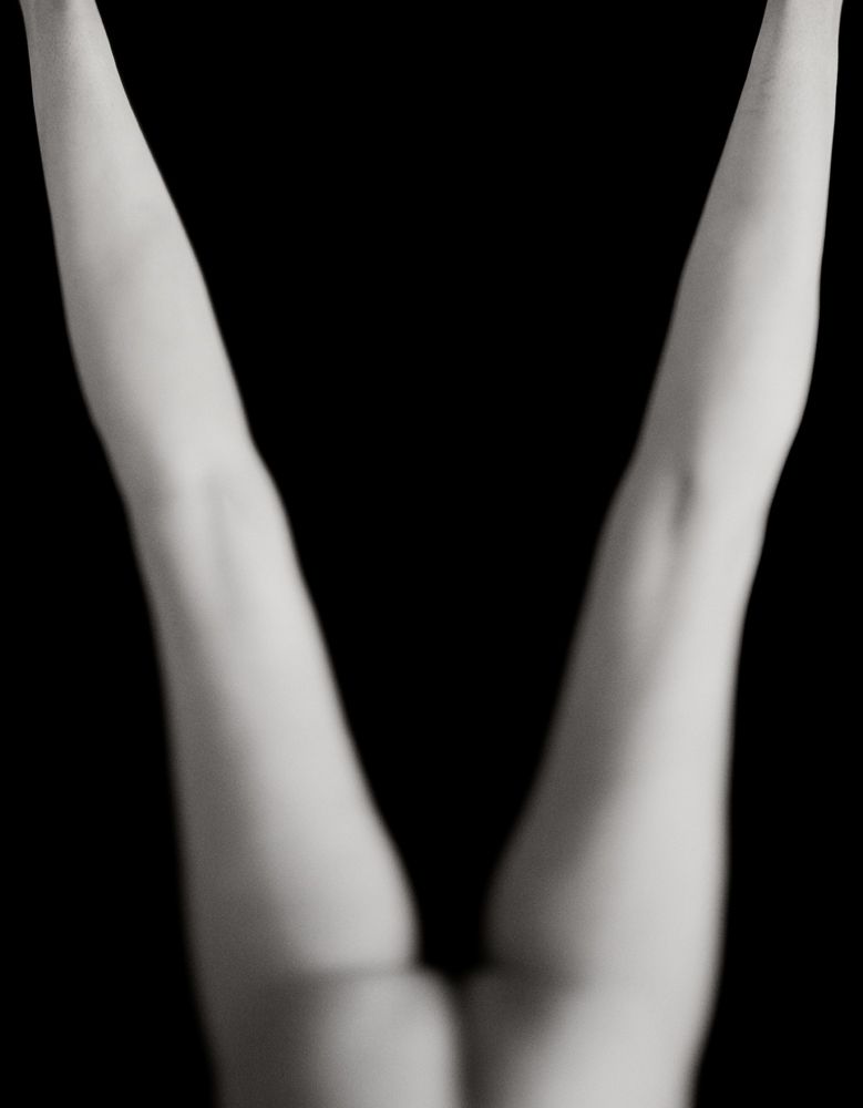 Vee - Torsi Exhibition