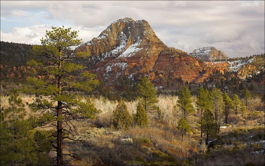 Pine Valley Mountain, Zion NP