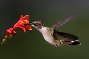 2023-07-25 RTHUM JUVI 06_1v2.jpg