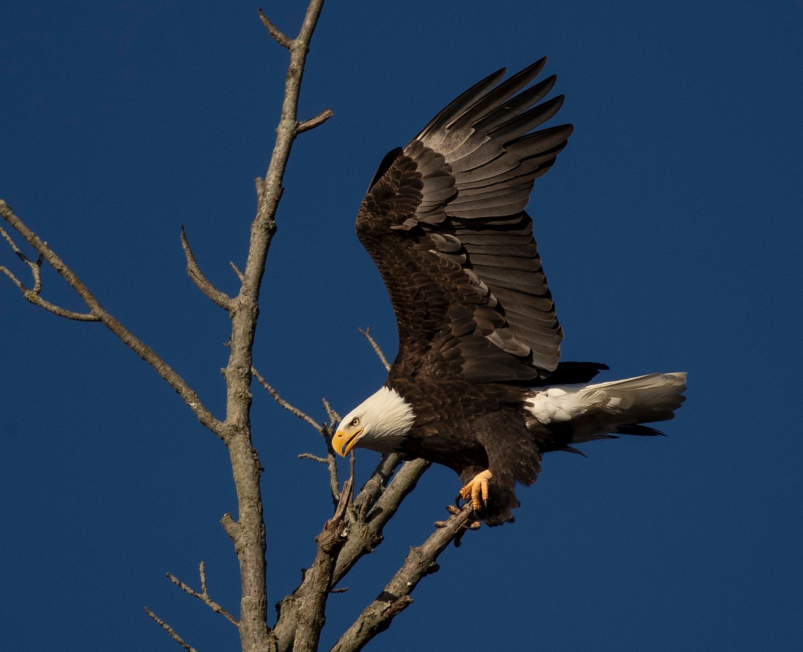 2022-11-21 BE PAIR LANDING_10v2.jpg