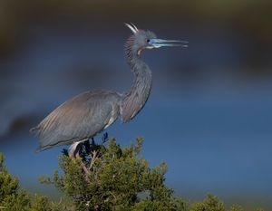 2023-04-25 TCH_02_20v2.jpg