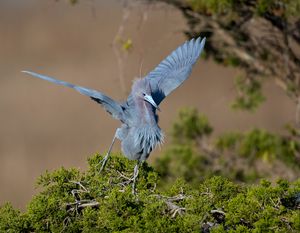 2023-04-18  LBH _03_2V2.jpg