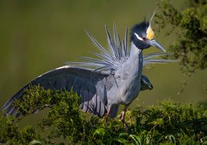 2023-06-01 YCNH DISPLAY _01_9V2.jpg