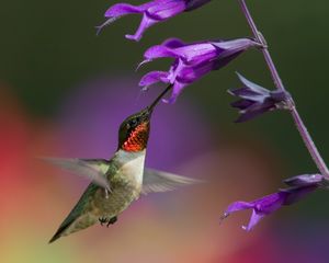 2017-07-04 RTH M PS_4v2filt.jpg