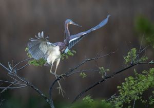 2023-04-20 TCH_02v2.jpg