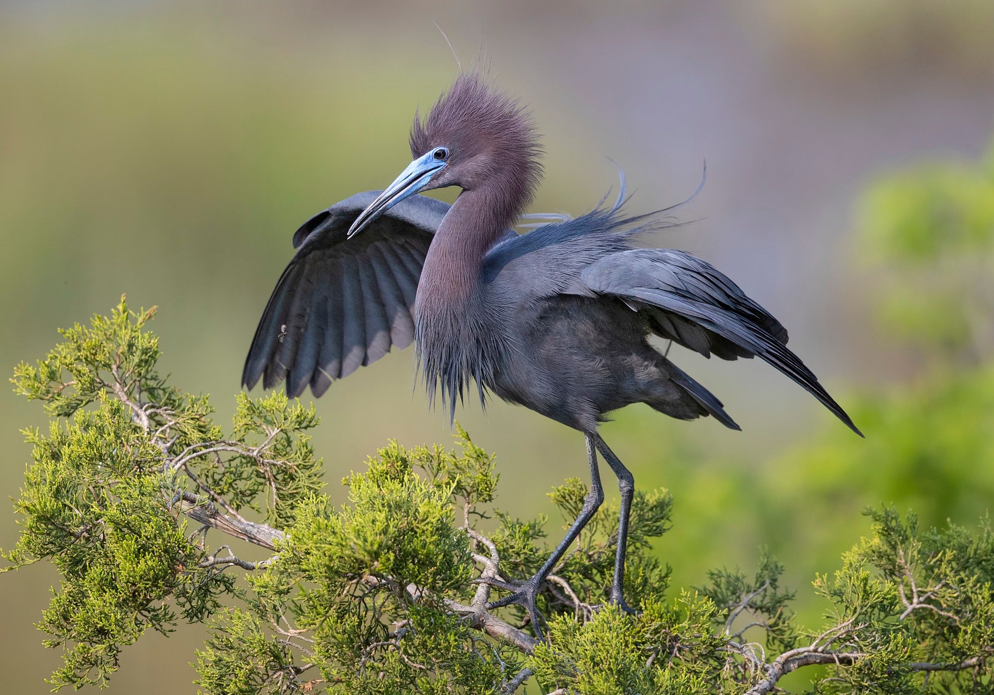 2023-05-22 LBH_02_2V2.jpg