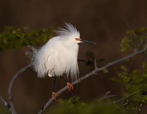 2023-04-25 SEGRET_01_1v3.jpg