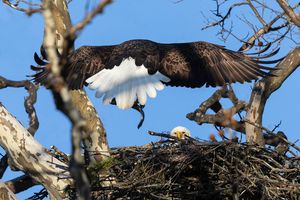 2026-03-28 BE NEST_5v2 copy.jpg