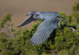 2023-04-19 LBH_04_3v2.jpg