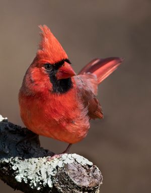 2023-03-27 CARD_25V2.jpg