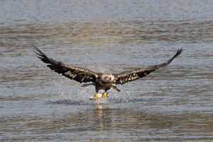 2024-11-19 BE JUVI FISHING_1V2 copy.jpg