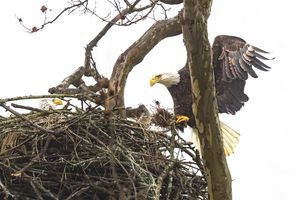 2026-04-03 BE NEST_6v2 copy.jpg