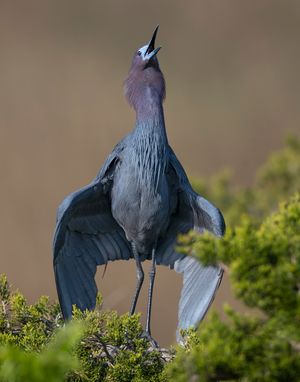 2023-05-08 LBH_04 DISPLAY_20v2.jpg