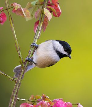 2023-10-04 CDEE_02_4v2.jpg