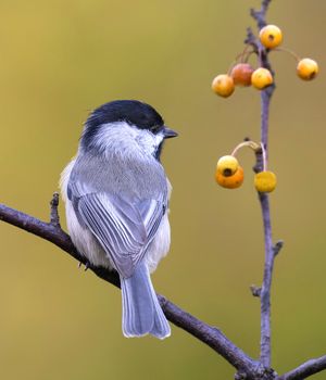 2023-09-20 CDEE_02v2.jpg