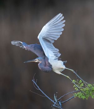 2023-04-20 TCH_02_27V2.jpg