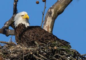 2026-03-26 BE NEST_10v2 copy.jpg