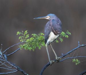 2023-04-20 TCH_02_23v2.jpg