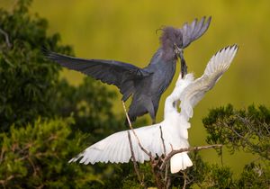 2023-06-29 LBH FEED_02_5V2.jpg