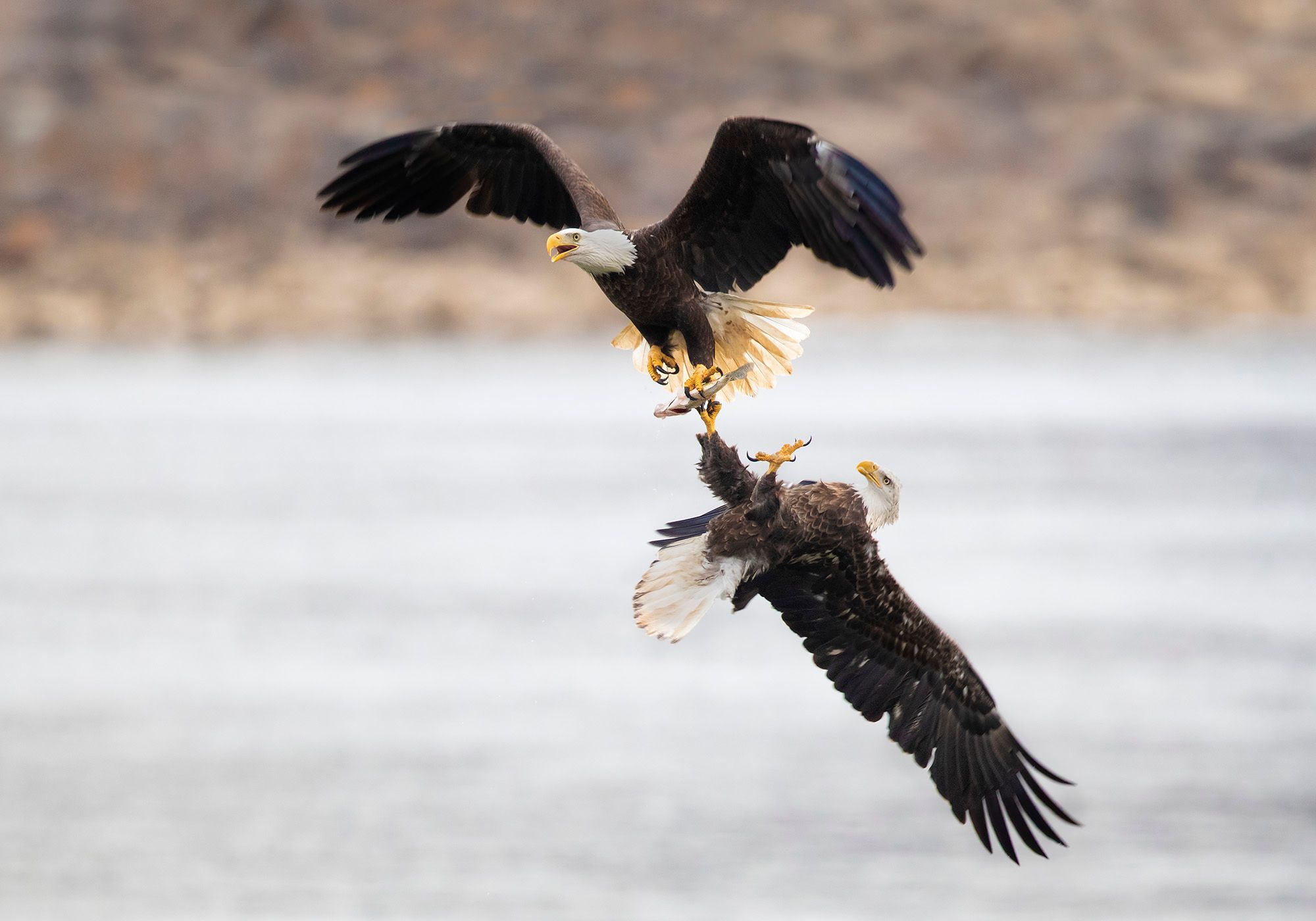 2020-11-26  BE  IF STEAL SEQUENCE_2v4.jpg