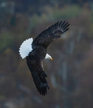 2025-10-28 BE_21v2 copy.jpg