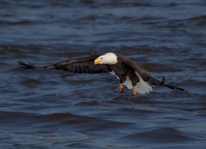 2022-11-18 BE SCRAMBLE 2_2v2.jpg