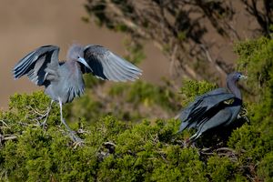 2023-04-18  LBH _03_4V2.jpg